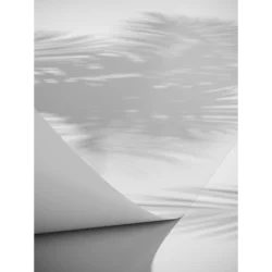 Venture Design Poster Papirus 50x70 cm Bela