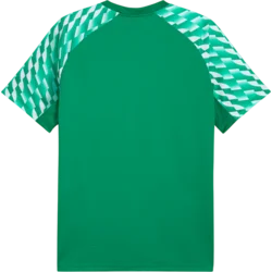 Puma Dres teamLIGA26