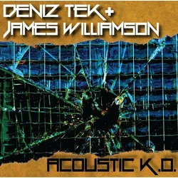 Deniz Tek & James Williamson - Acoustic K.O. (EP)