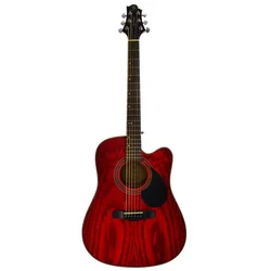 Samick Samick D-4CE TR - elektroakustična kitara