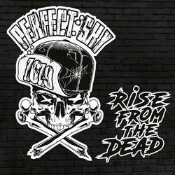 Perfect Sky - Rise From The Dead (LP)
