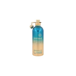 Montale Paris Aoud Lagoon Eau de Parfum 100ml