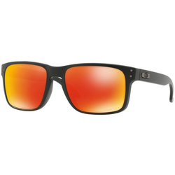 Oakley Holbrook Naočare za sunce OO 9102 E2