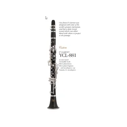 YCL - 881 Custom