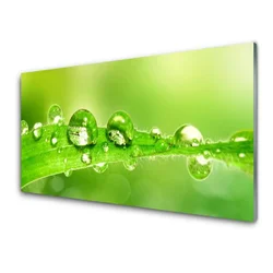 tulup.si Slika na steklu Rastlina leaf dew drops 120x60 cm 2 obešalnika