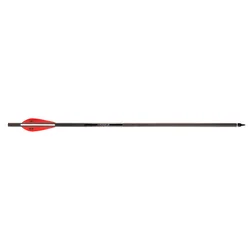 Barnett Bolt Carbon Headhunter Lighted 20”