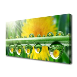 tulup.si Slika na platnu Stem dew drops rastlin 125x50 cm