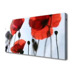 tulup.si Slika na platnu Mak rastlina 140x70 cm