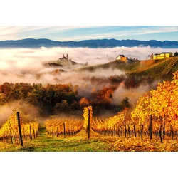 Enjoy - Puzzle V vinogradih - 1 000 kosov