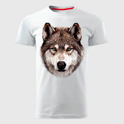 MAJICE BRE Muška majica WOLF 16 bela