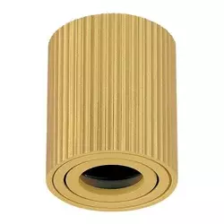 Plafonska lampa AFS118-1C SG