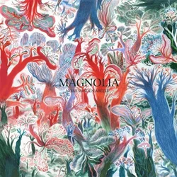 Noah Vanden Abeele - Magnolia (LP)