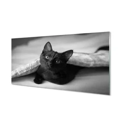 tulup.si Slika na akrilnem steklu Cat pod odejo 100x50 cm 4 obešalnika