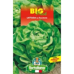 SOLATA LA RESISTENTE BIG PACK 20gr
