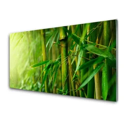 tulup.si Steklena slika Bamboo stebla rastlin 100x50 cm 2 obešalnika
