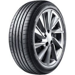 Aptany RP062 ( 205/55 R16 91V )