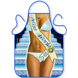 Predpasnik Miss world