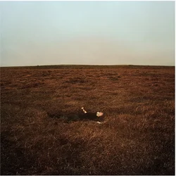 Fink - The City Is Coming To Erase It All (Gatefold) (LP)
