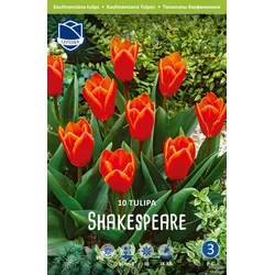 Čebulice tulipan Shakespeare, 10 kosov