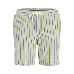 Jack & Jones Muški šorts Jaiden, Zeleni