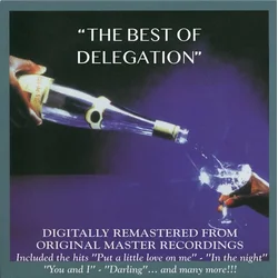 Delegation - The Best Of (LP)