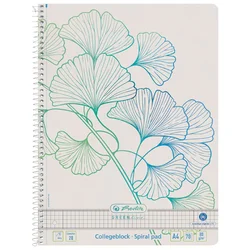 BLOK KOLEGIJ A4 KARO  70L GREENLINE GINKGO HERLITZ 50033485