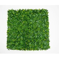 Zeleni zid 3D Tara 2, 100x100 cm