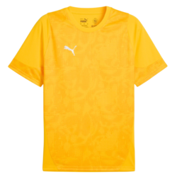 Puma Dres teamCUP Jersey