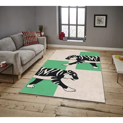 Conceptum Hypnose tepih Asr Crpt-41, pravougaoni, 160 x 230 cm, šareni