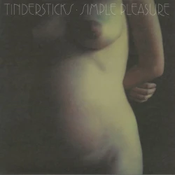 Tindersticks - Simple Pleasure (Reissue) (180 g) (2 LP)
