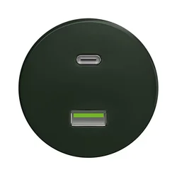 Kliklap - Retro USB utičnica A+C bez rama zelena
