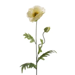 Umetni mak 70 cm krem barve - krem - 50 do 75 cm