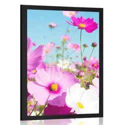 Plakat spomladanskih cvetlic - 30x45 silver