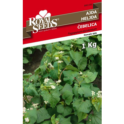 ROYAL SEEDS seme Ajda Čebelica, 500g