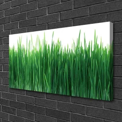 tulup.si Slika na platnu Grass nature rastlin 100x50 cm