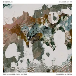 Shes Analog - No Longer, Not Yet (LP)