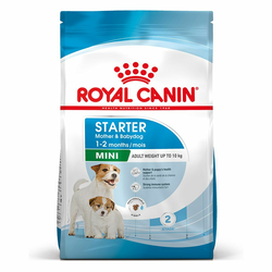 Royal Canin Mini Starter Mother/Babydog - 8 kg