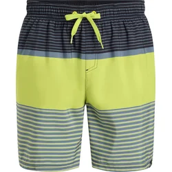 Firefly LARIO M BLOCK STRIPE, moške kopalne hlače 434956