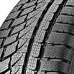 Nokian WR A4 ( 245/35 R21 96W XL  )