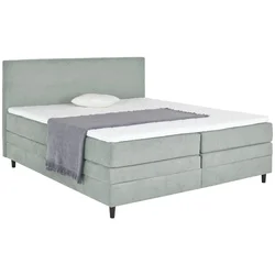 Boxspring Krevet Kleopatra 180/200 cm , svetlosiva