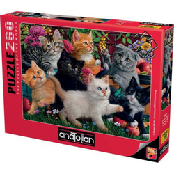 Puzzla 260 el. ( 133273 )