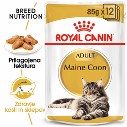 Royal Canin | Cat Adult Maine Coon v omaki