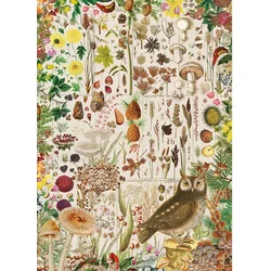 Gibsons - Puzzle Jesenska flora - 1 000 kosov