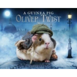 Guinea Pig Oliver Twist