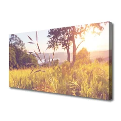 tulup.si Slika na platnu Grass tree travnik narava 100x50 cm