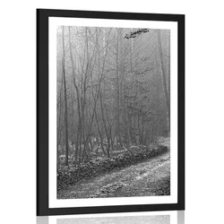 Plakat s paspartujem črnobela steza v gozd - 40x60 silver