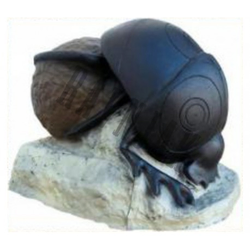SRT Target 3D Beetle