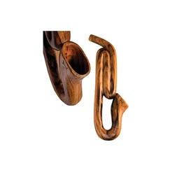 Didgeridoo Saxophone Pro untuned 3814043