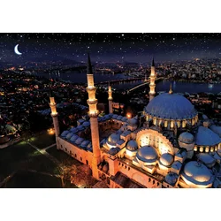 Art puzzle - Puzzle Blue Moaque neon - 1 000 kosov