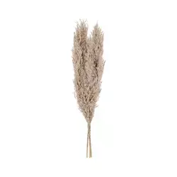 Eglo 428083 - Sušeni cvet GUIPOS 55 cm bež